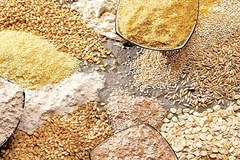 گندم 25 دلار و خوراک دام 10 دلار در یک روز افزایش یافت